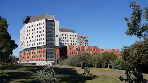 hospital for website.jpg