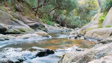 Frankston South - Sweetwater Creek