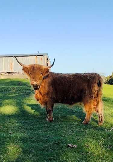 Langwarrin South