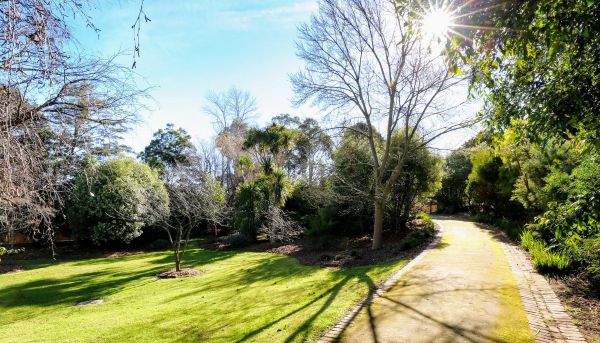 arboretum.jpg