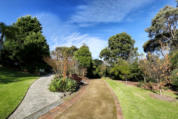 arboretum2.JPG