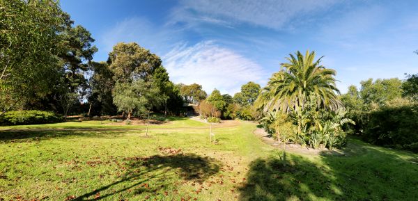 arboretum6.JPG