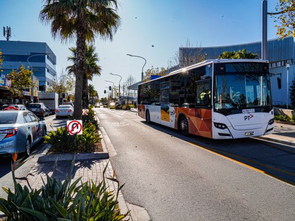 Bus.jpg
