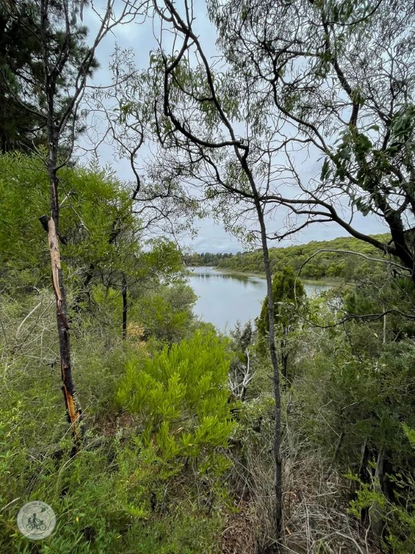 Conservation Nature Reserve6.jpg