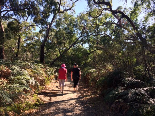 Langwarrin Flora and Fauna Reserve - March 2017 © FCC Katrina Bowman (6).JPG