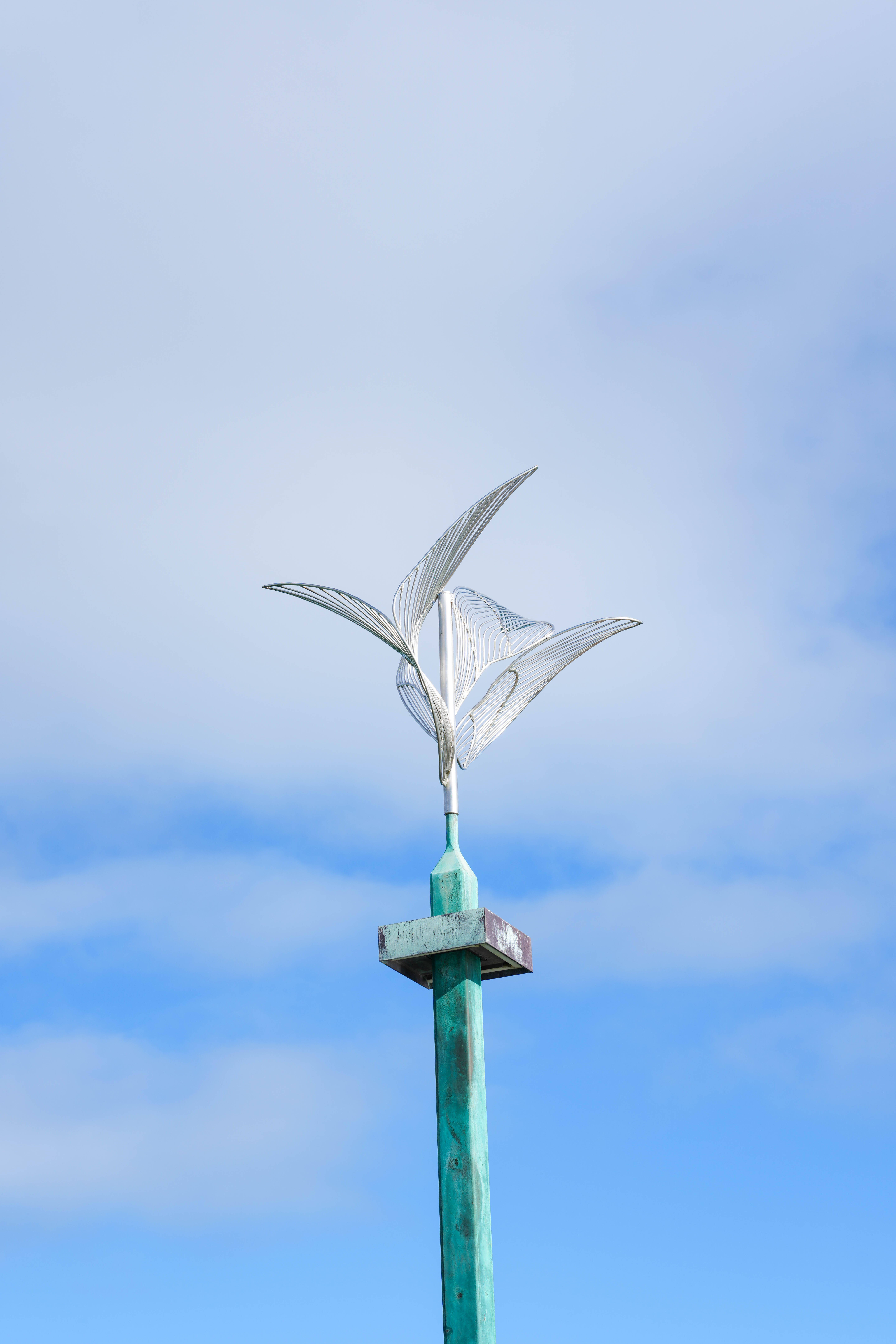 Pierartinstallationweb-1202726.jpg