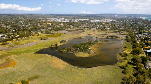 SeafordWetlands-0416.jpg